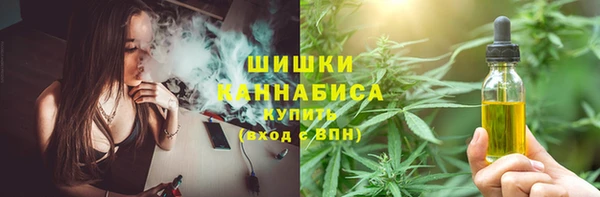 ECSTASY Михайловск