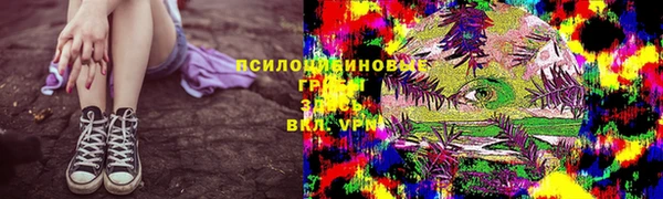 ECSTASY Михайловск