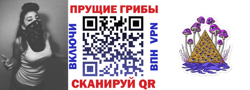 darknet состав  купить наркоту  Новопавловск  Галлюциногенные грибы мицелий 